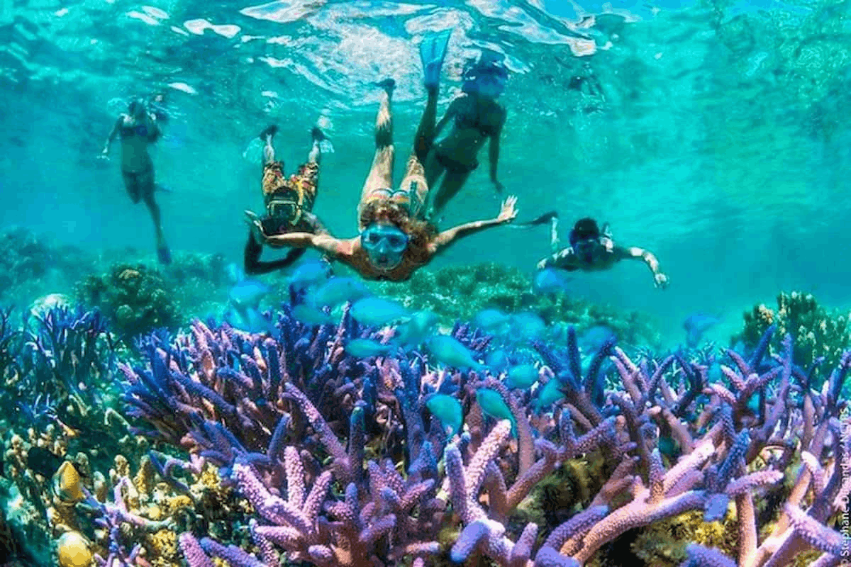 Bali Adventure Tour Image