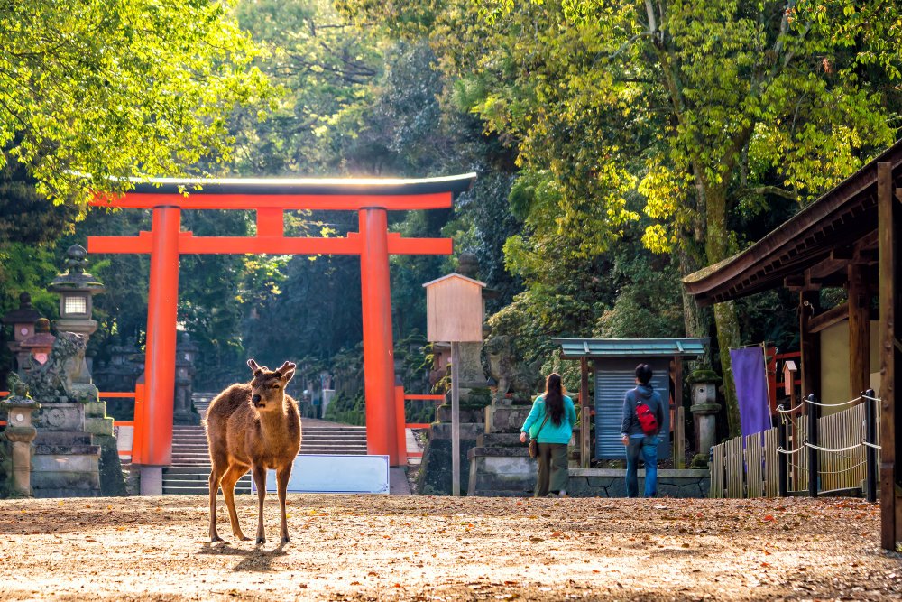 nara